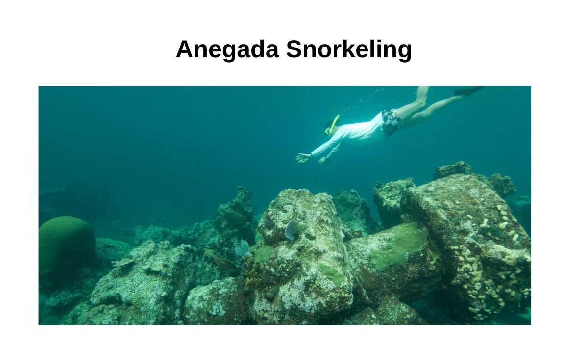 Anegada Snorkeling
