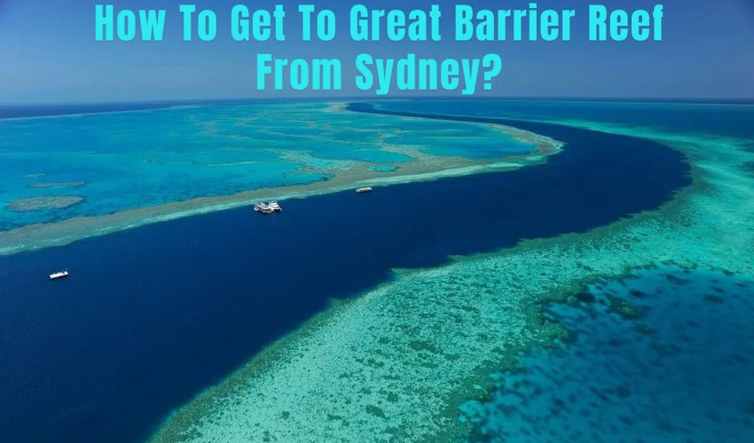 How To Get To Great Barrier Reef From Sydney