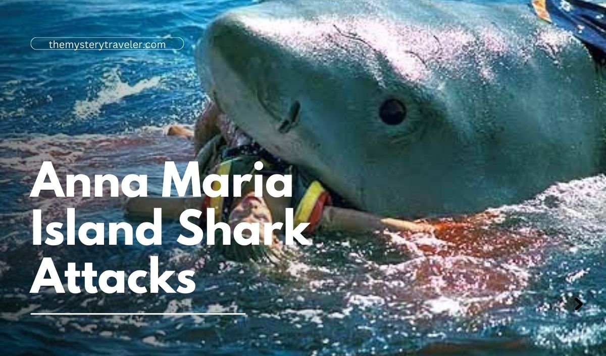 Anna Maria Island Shark Attacks
