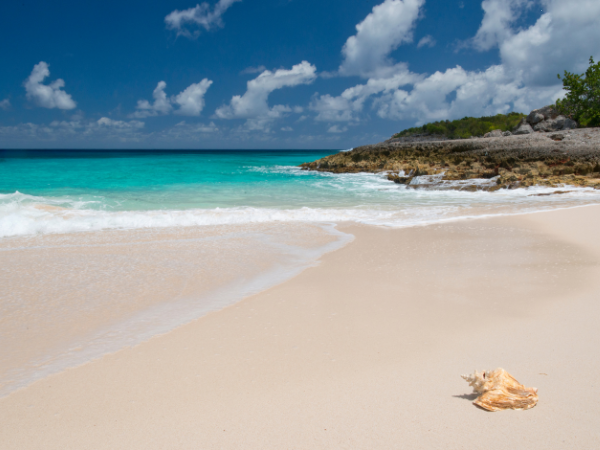 Interesting Facts About Anguilla Dog Island photo 2